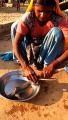 tribal life of Bauri community in deep desert, Bauri women cooking wild food #viral #viralshort