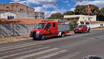 Idosa de 78 anos é atacada por enxame de abelhas na 712 Norte