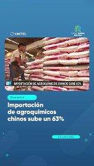 Importación de agroquímicos chinos sube un 63%