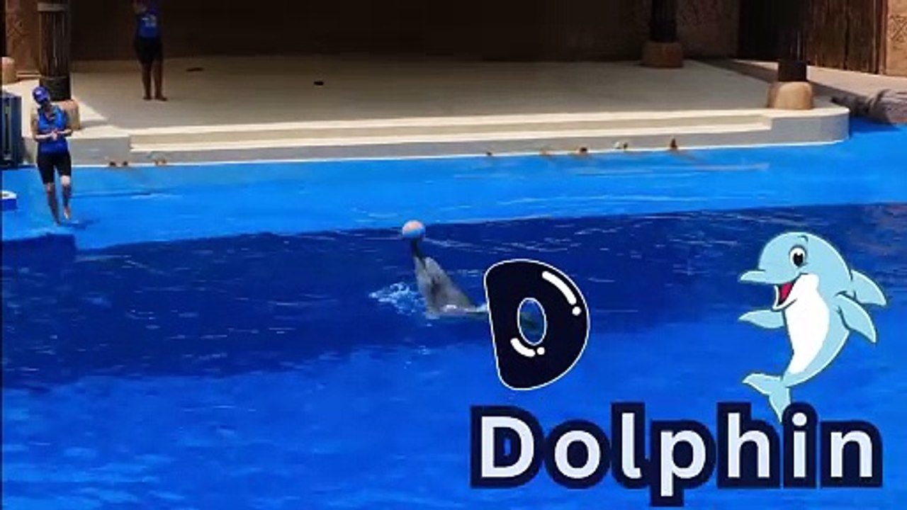 D is for Dolphin Song for Children, Nursery Rhyme for Kids | Animal Song  #Mahadadventure #cocomelon