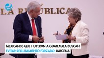 Mexicanos que huyeron a Guatemala buscan evitar reclutamiento forzado: Bárcena