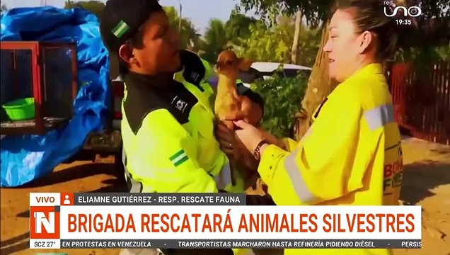 brigada restará animales silvestres