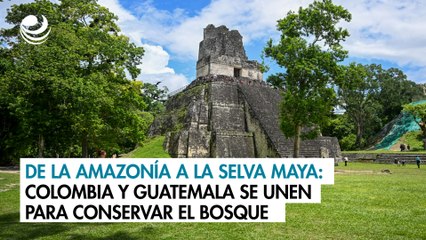 De la Amazonía a la selva maya: Colombia y Guatemala se unen para conservar el bosque