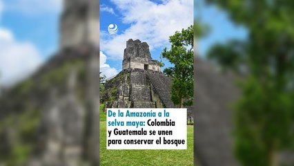 De la Amazonía a la selva maya: Colombia y Guatemala se unen para conservar el bosque
