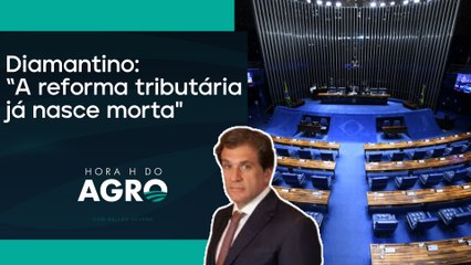 "Reforma tributária é uma tragédia e aumentará impostos" | HORA H DO AGRO