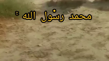 محمد رسول الله ۚ والذين معه أشداء ۔۔۔۔۔