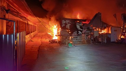 충북 괴산 돼지 농가에서 불...돼지 420여 마리 소사 / YTN