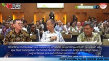 Pacu Ekonomi Rakyat, Indonesia Berpotensi Tumbuhkan Industri Olahan Sagu