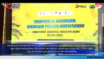 Peluang Besar, Industri Olahan Sagu sebagai Pendorong Ekonomi Indonesia