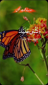 Dua-e-Qunoot | دعائے قنوت | Dua e Witr