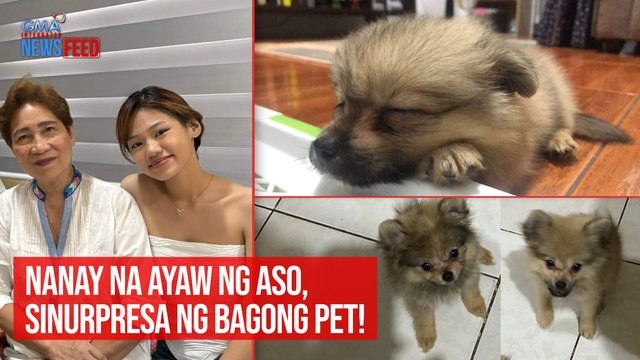 Nanay na ayaw ng aso, sinurpresa ng bagong pet!| GMA Integrated Newsfeed