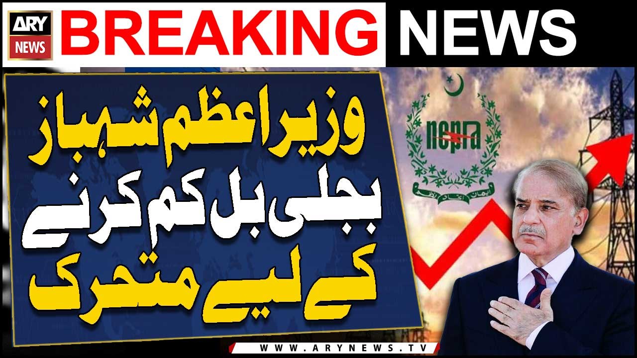 PM Shehbaz Sharif vows to reduce electricity bills