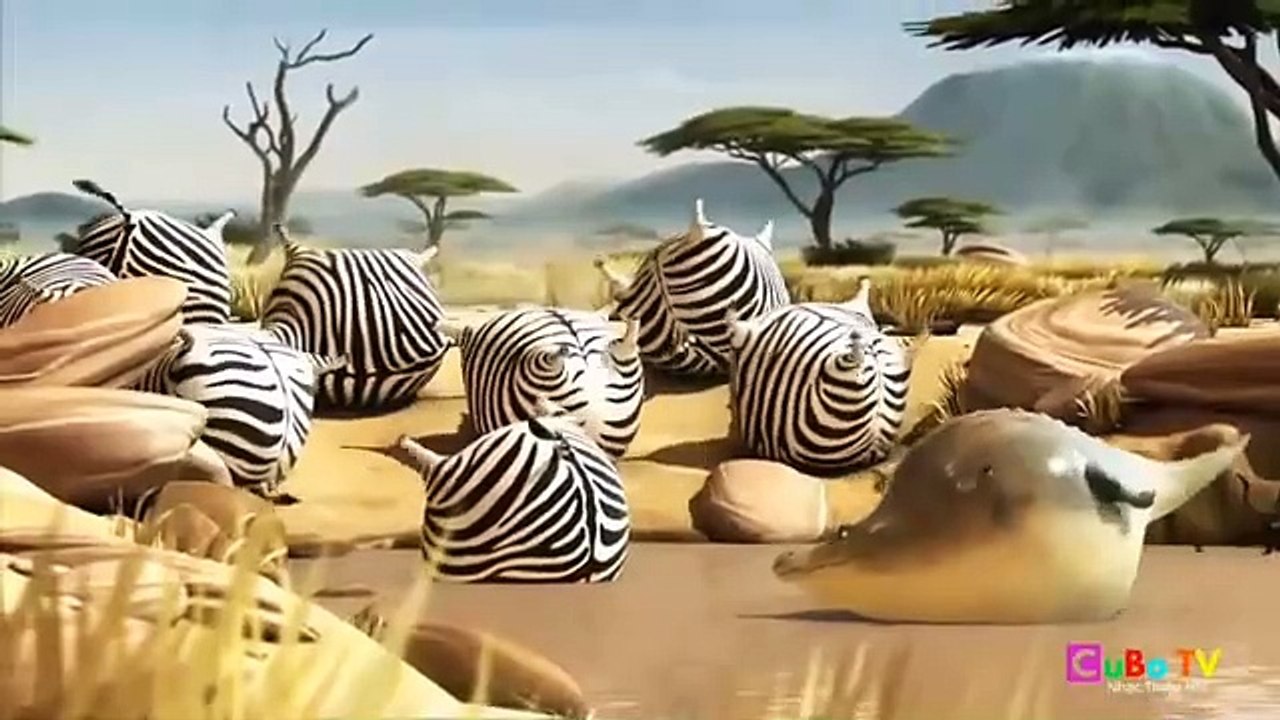 fat_animals____if_animals_were_fatty,_funny_cartoon_short_film.