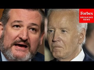 ‘He Made Me Miss Barack Obama’: Ted Cruz Jabs At Biden Over Executive Actions On Border