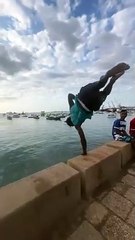 Zanzibar funny dolphin /jumping