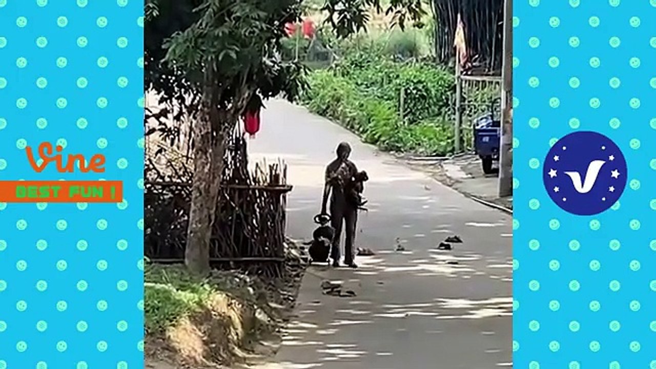 Funny & Hilarious video people's Happy life #49  Try Not To Laugh funny video 2024