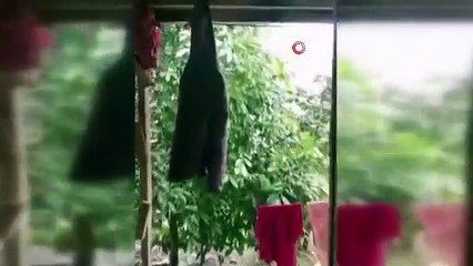 O ülkede 6.8 büyüklüğünde deprem oldu