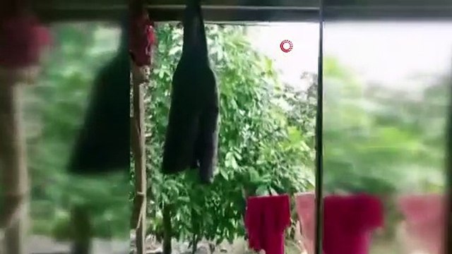 O ülkede 6.8 büyüklüğünde deprem oldu