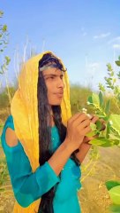 Universal Enterprises