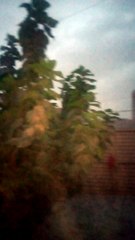 tofan apna kahin nahi DAikha ho ga