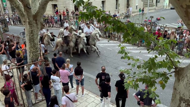 Abrivado d'ouverture de la votive à Uzès
