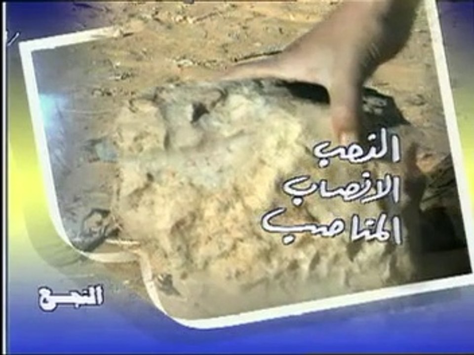 سيف النصر- المناصب