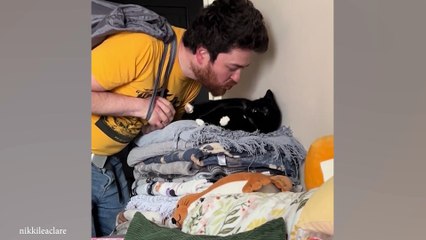 Watch these DRAMATIC CATS  - Best Funniest Cat Videos of Week