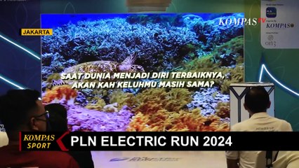 Meriah! 6 Ribu Pelari Ramaikan PLN Electric Run 2024, Total Hadiah Capai 730 Juta Rupiah