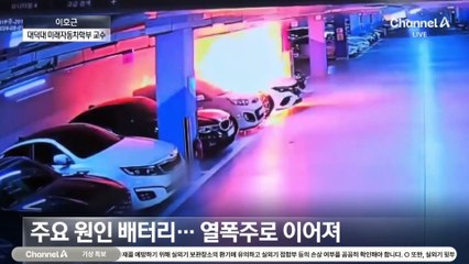 이호근 대덕대 교수 “전기차 화재 내연차보다 적어…과충전 예방 기능 도입해야”