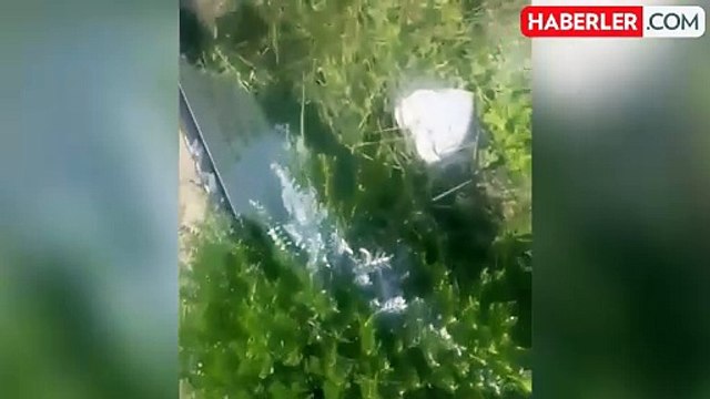 İngiletere'de Müslüman mezarlığına çirkin saldırı: Mezar taşlarını boyadılar