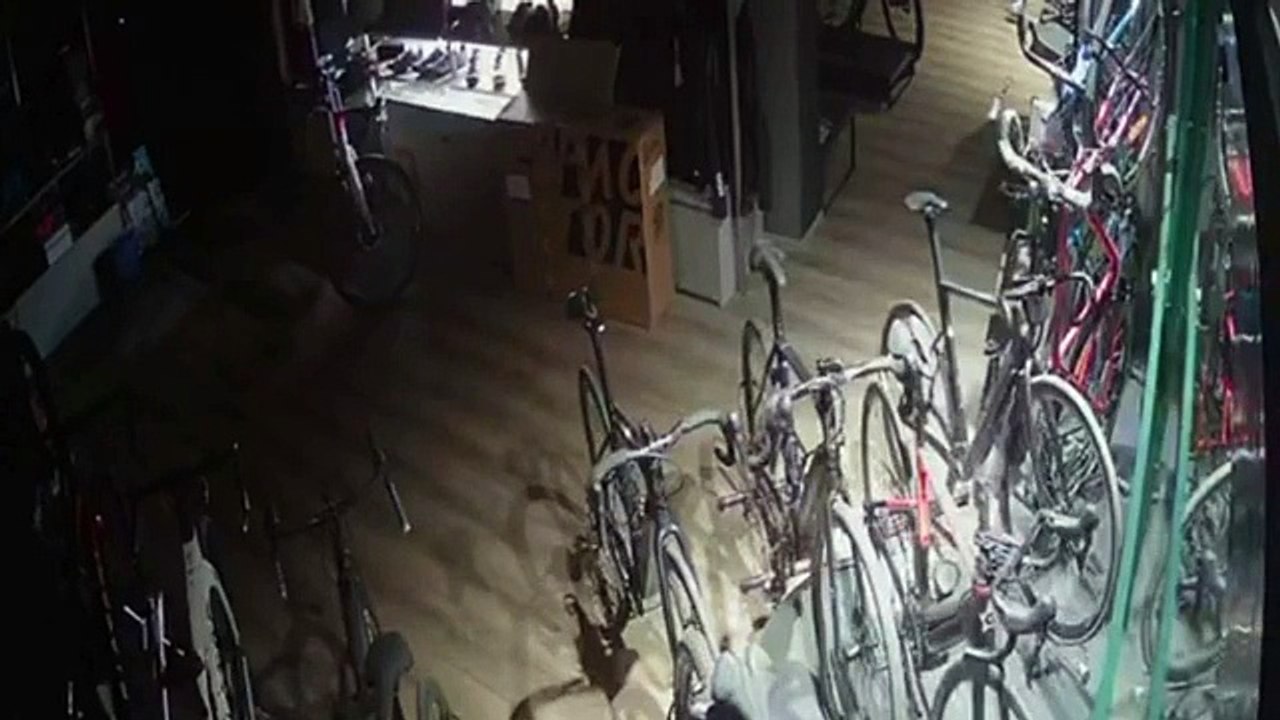 Padova, colpo per 80mila euro al negozio di bici: auto-ariete sfonda la vetrina