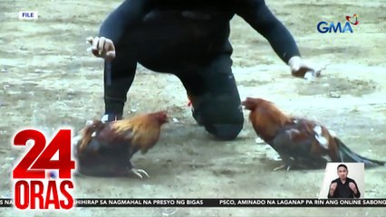 Regulasyon sa online sabong, tinalakay sa Kamara kung posible ba | 24 Oras