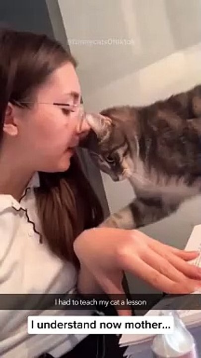 Part 50 | Funny cat videos #funnycats #funnyanimals #funnypets