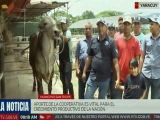 Yaracuy | Cooperativa "Las 3R" contribuye en la consolidación de la economía comunal de la región