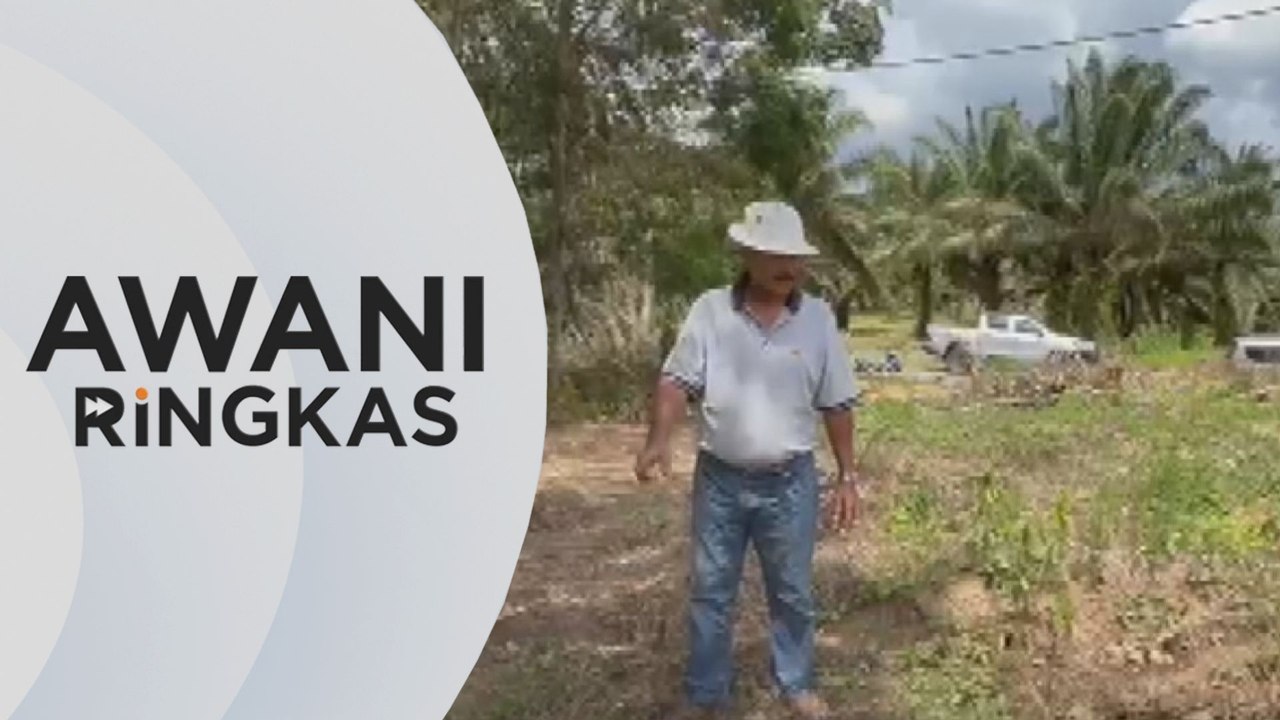 AWANI Ringkas: Tragedi di kebun getah