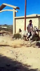 Hahahaha   Entertainment funny and comedy