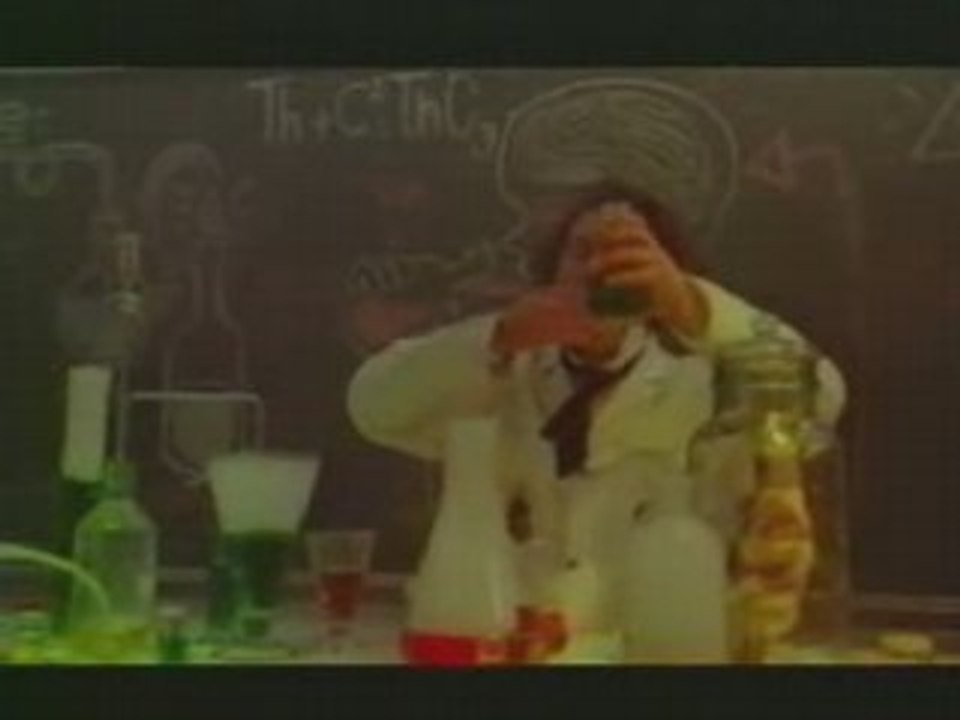SVINKELS - "Reveille le punk"