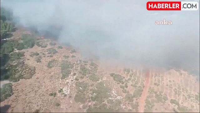 Hatay'ın Antakya ilçesinde orman yangını çıktı