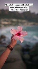 "Do what you can, with what you have, where you are."  – Theodore Roosevelt #shorts