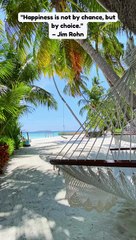 "Happiness is not by chance, but by choice."  – Jim Rohn #shorts