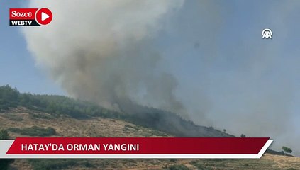 Hatay'da orman yangını çıktı