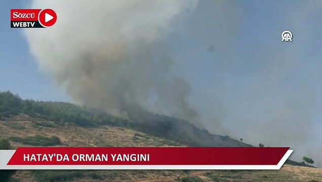 Hatay'da orman yangını çıktı