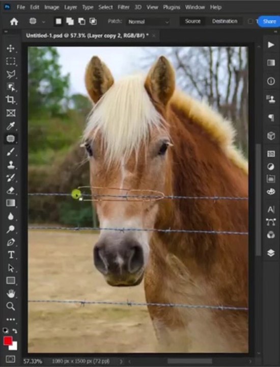 Easily Remove Fence
