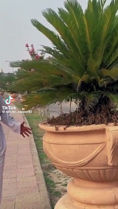 Funny video