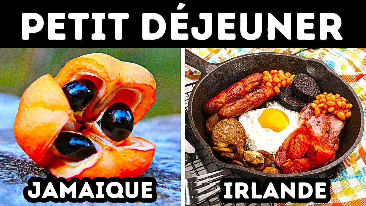 Plus de 90 faits qui vous feront cracher votre café