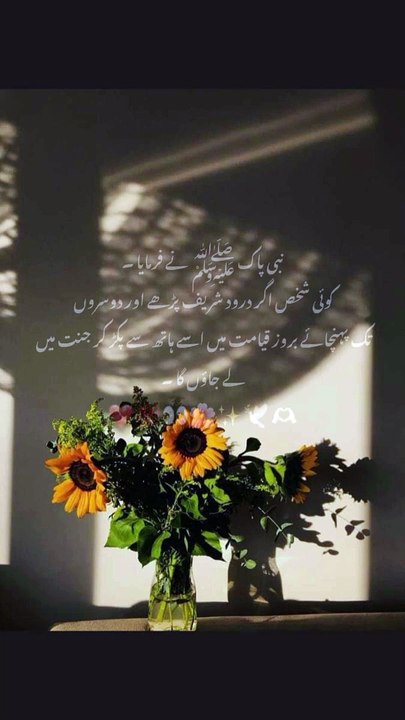 درود شریف پڑھنے کے فضائل #islamistics #youtubeshorts #religioustext #duet #quranquotes
