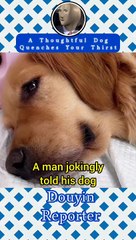 this evil owner tried to eat his dog's baby, this is what happened