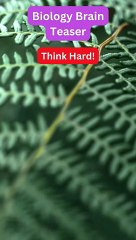 Think you know biology? Prove it with our Biology Brain Teaser!