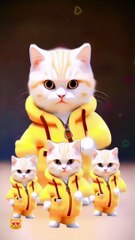 viral cat shots