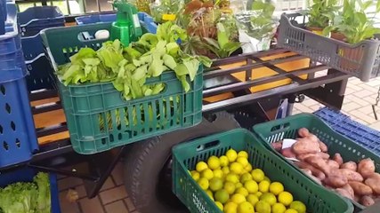 Feira do Bairro acontece todos os sábados no Salão Comunitário do Coqueiral